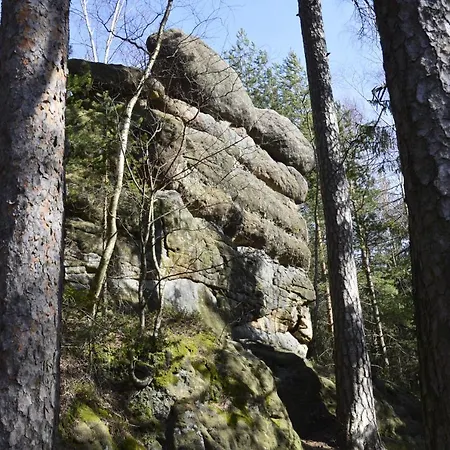 Goscinne U Reni בית אירוח *