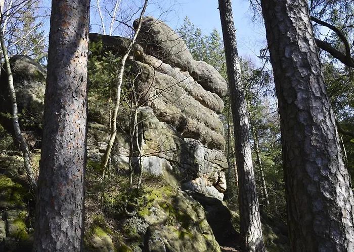 Goscinne U Reni Homestay *