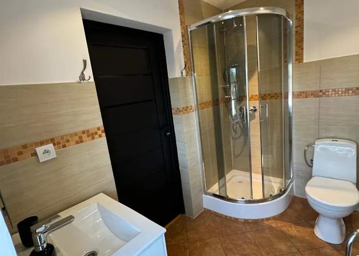 Goscinne U Reni Homestay *